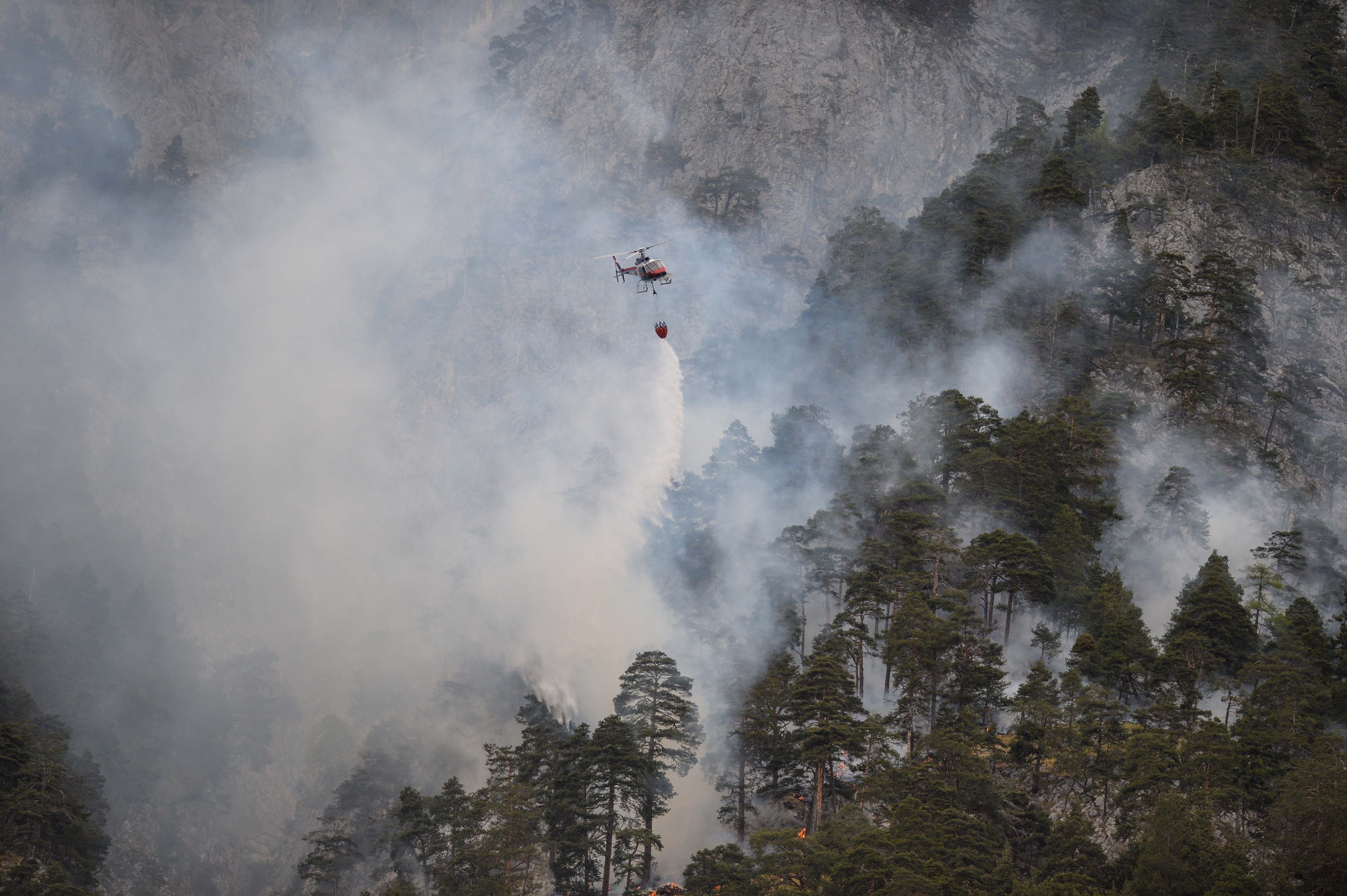 Letztes Jahr kam es im Bereich Hechenberg zu einem Waldbrand. Aufgrund der aktuellen Trockenheit ist die Gefahr nun erneut erhöht.
