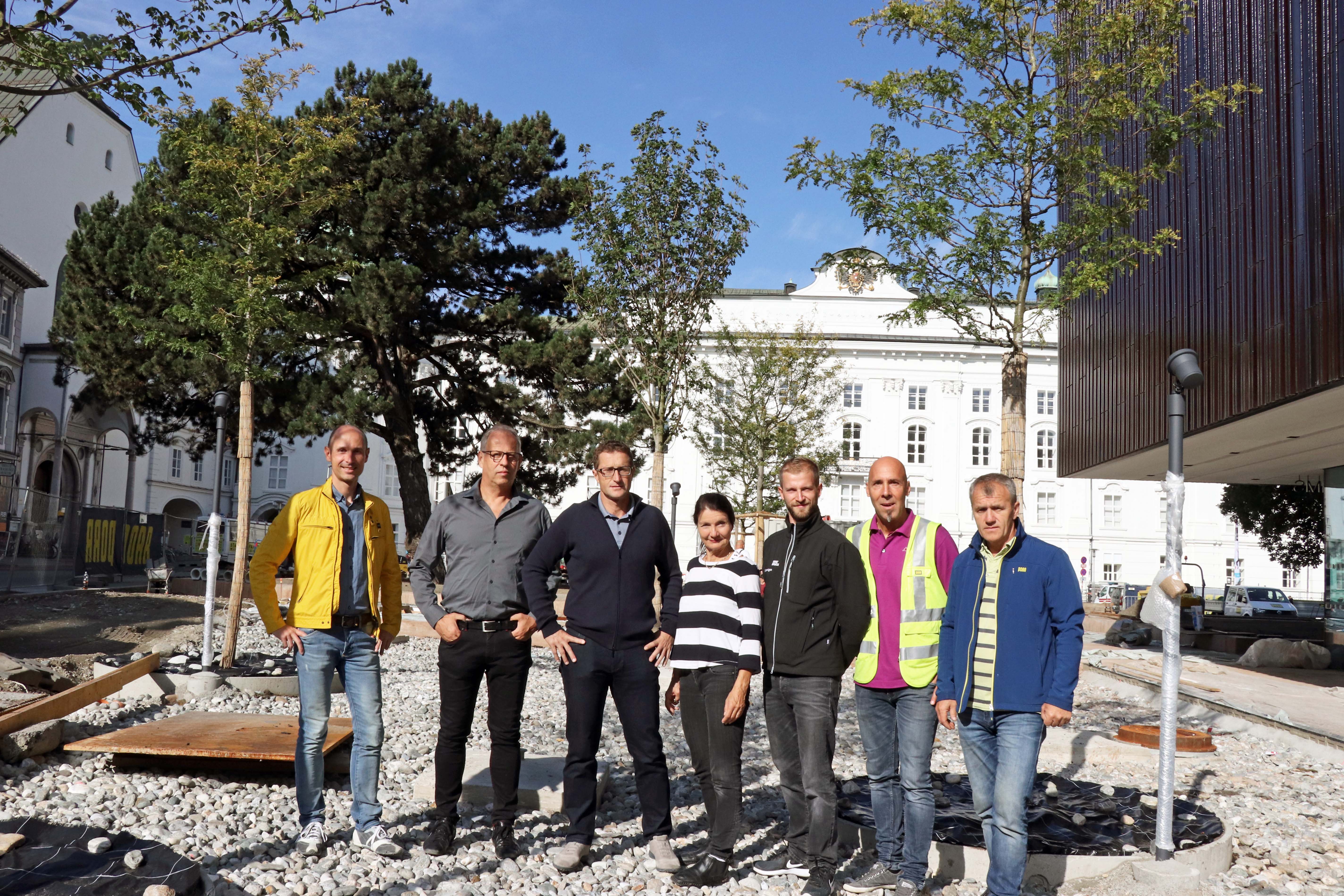 Bei der Besichtigung der neuen Bäume vor dem Haus der Musik Innsbruck: Referent Christian Müller (Abteilung Tiefbau-Planung), Architekt Erich Strolz, Amtsvorstand Thomas Klingler (Grünanlagen), StRin Uschi Schwarzl, Ricardo Leuschel (Grünanlagen) sowie Martin Felber und Mehrudil Basanovic (beide PORR Bau GmbH) (v. l.).